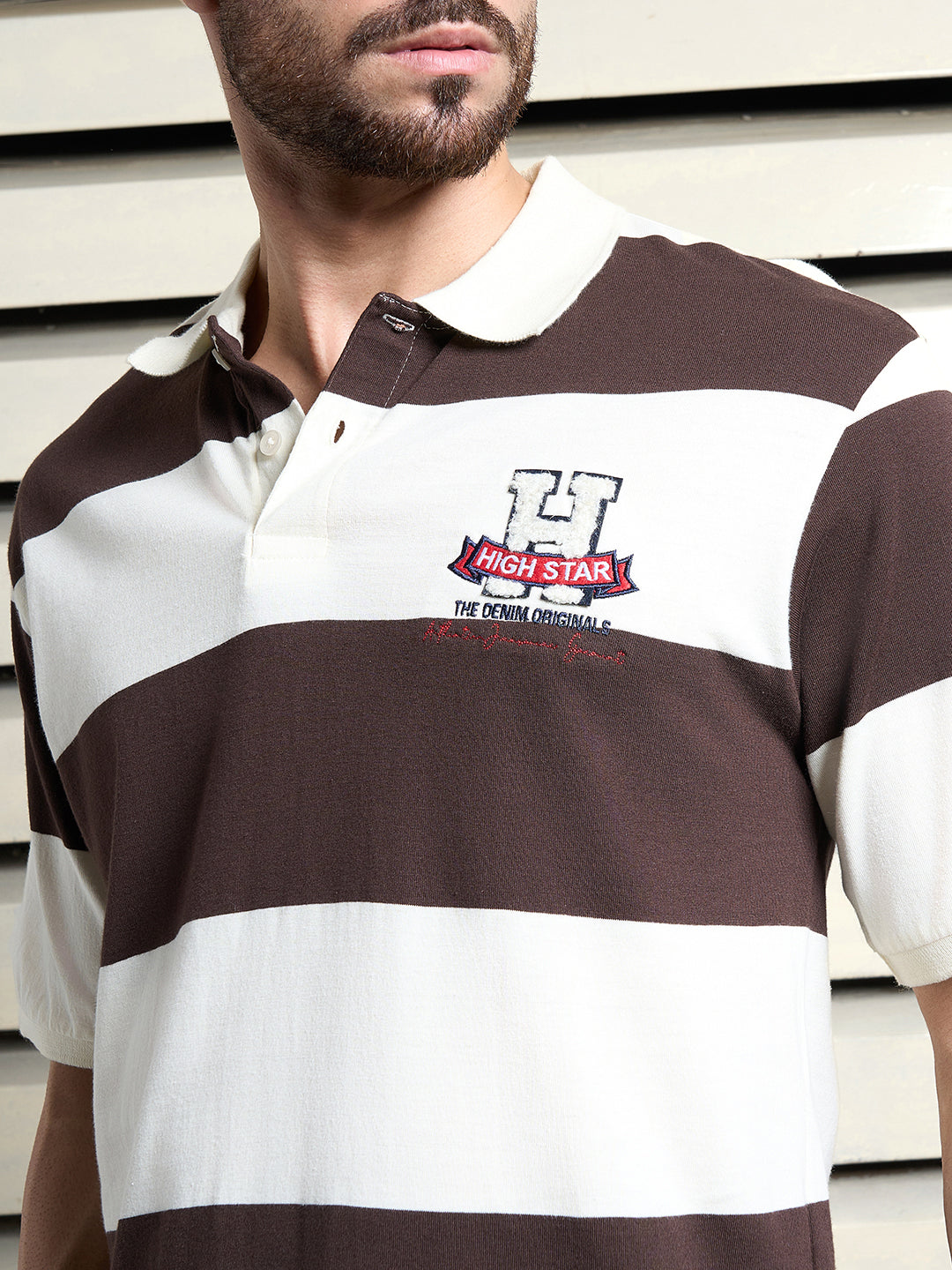Men Cotton Short Sleeves Polo neck Striped  Regular Fit Tshirt